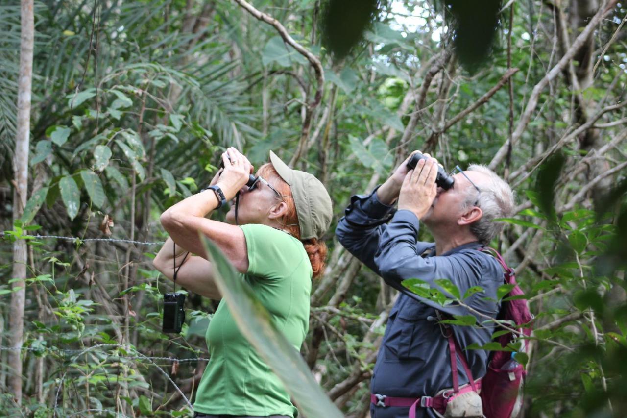 Aruá Observação de aves e natureza Praia do Forte Esterno foto
